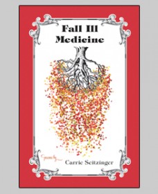 Fall Ill Medicine, Carrie Seitzinger