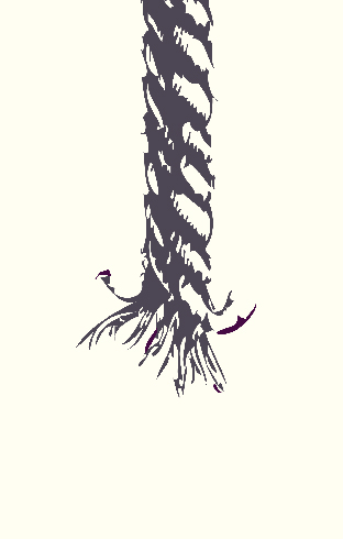 rope the novel by matty byloos