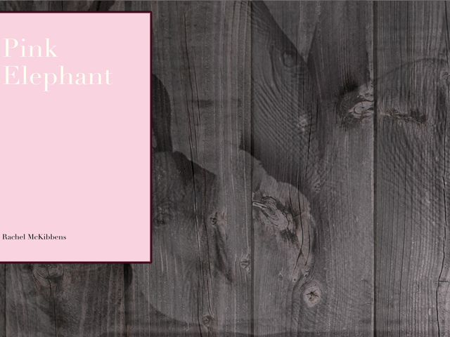 Pink Elephant by Rachel McKibbens, second edition